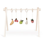 Quax Set d'activités - Fruits 5 pièces