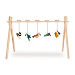 Quax Set d'activités - Oiseaux 5 pièces