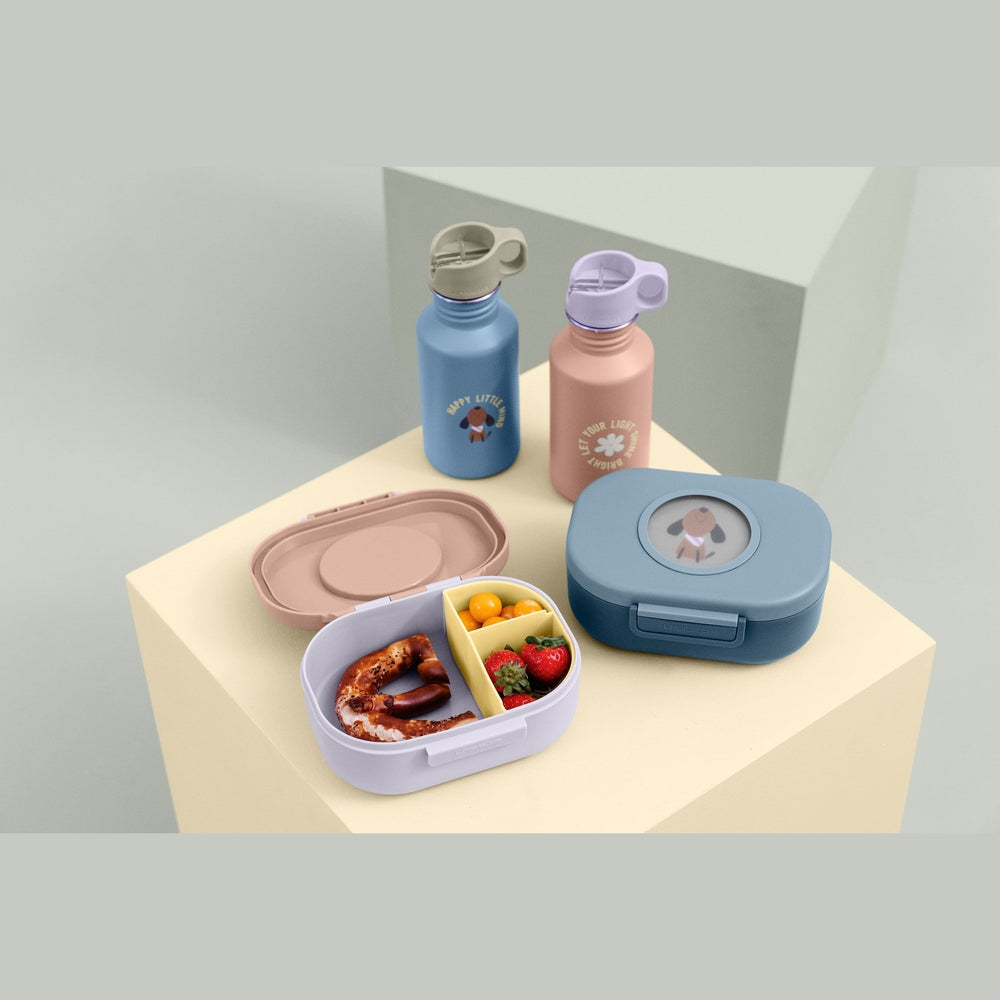 Boîte à goûter et à déjeuner à motif - bleu
