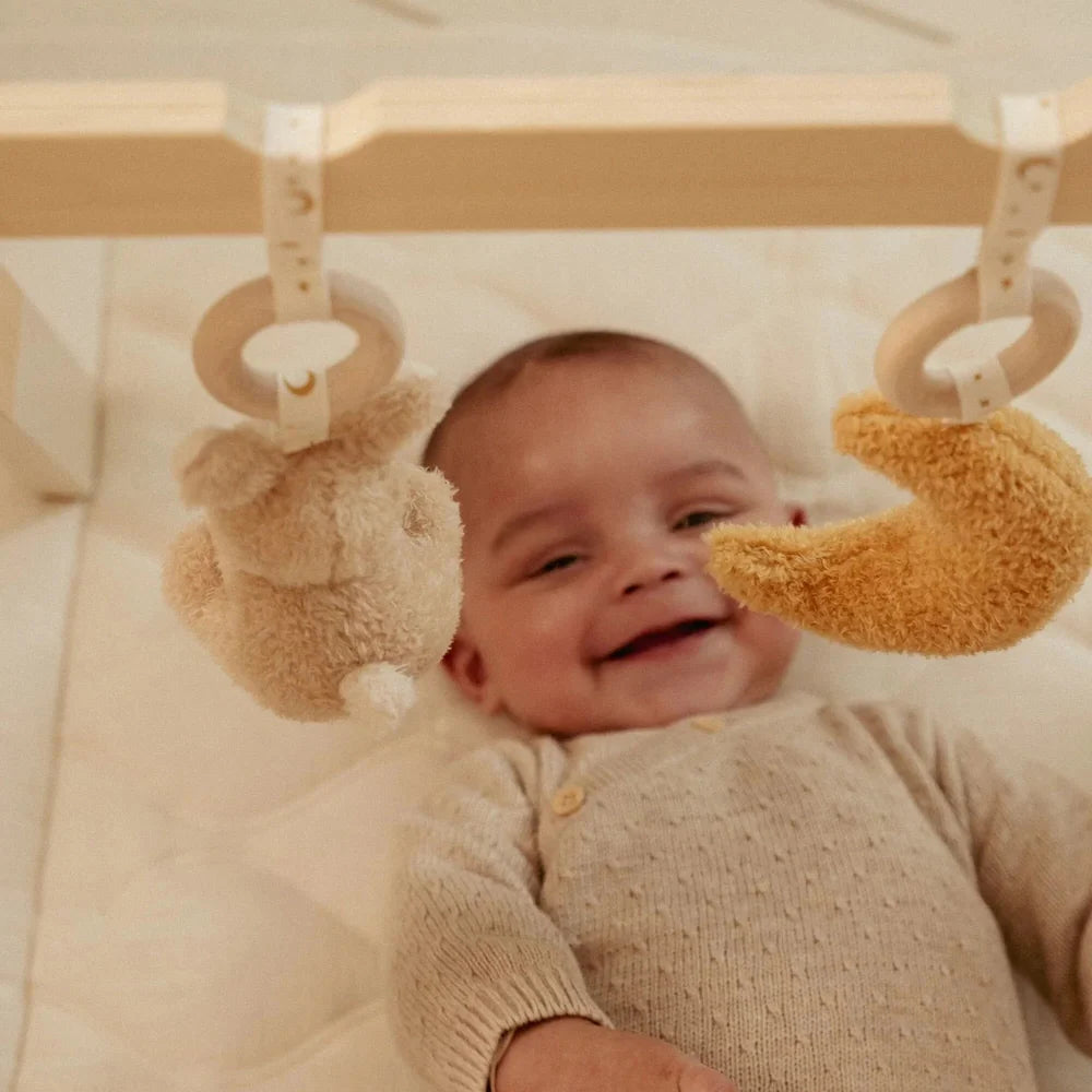 Gym d’éveil Little Dutch - Newborn Naturals