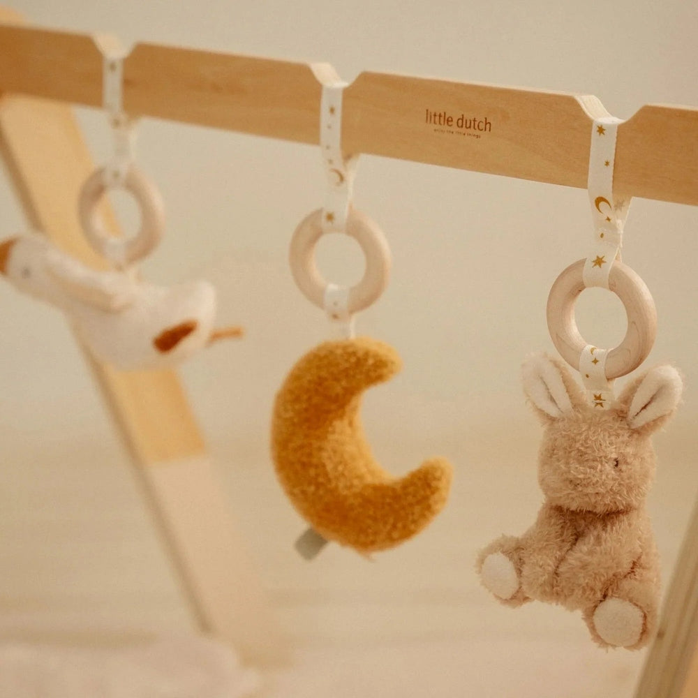 Little Dutch Gym bébé - Newborn Naturals