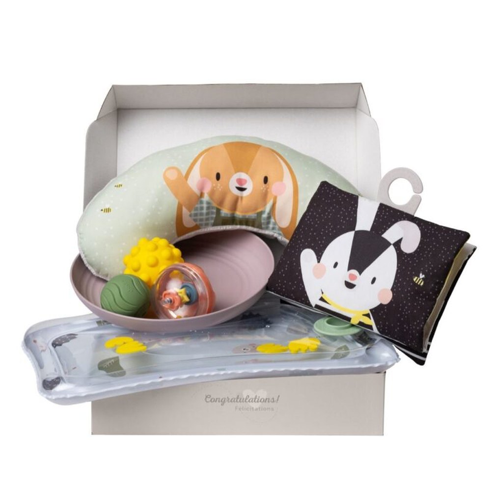 Taf Toys Kit d’essentiels pour le tummy time