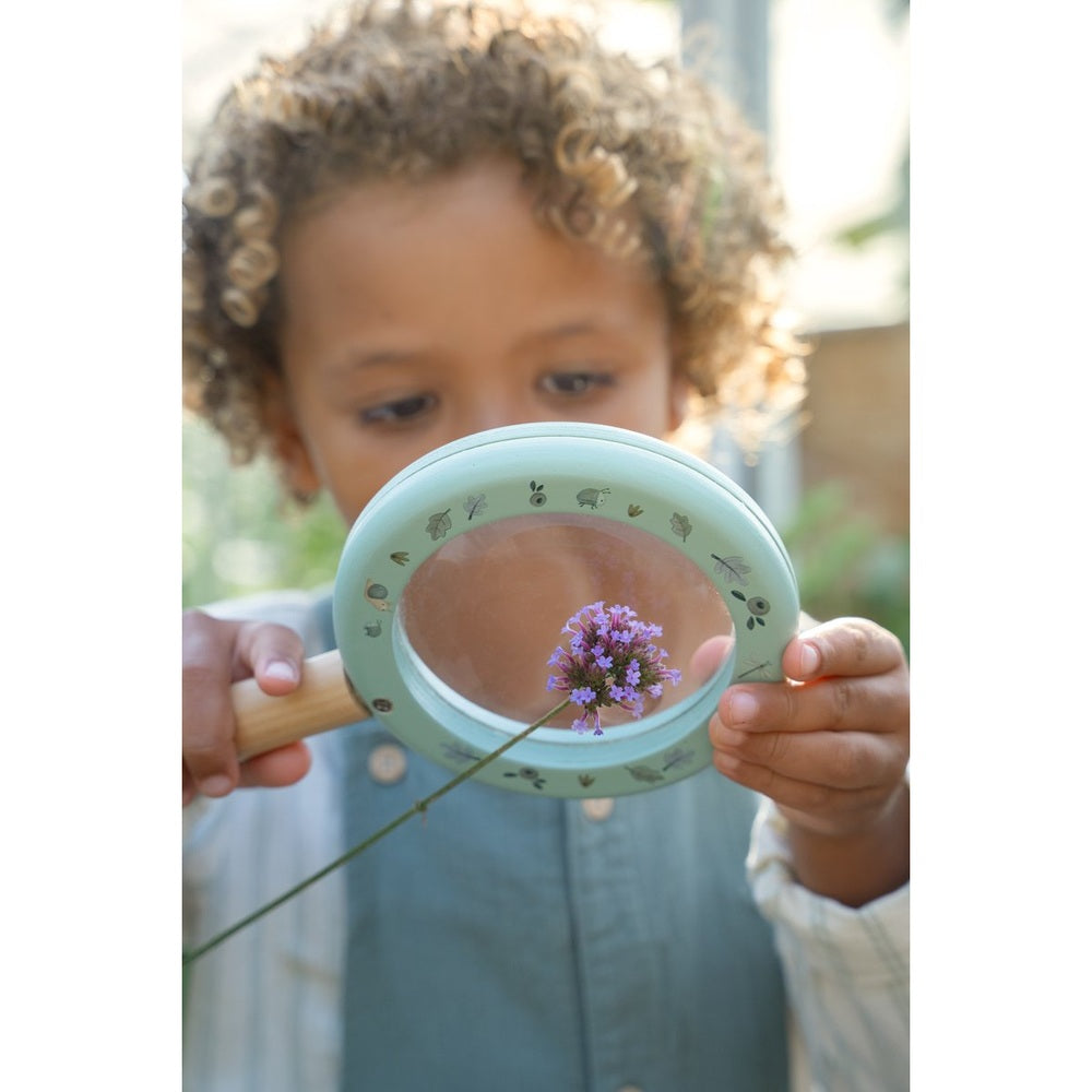 Little Dutch loupe