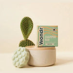 Wondr shampoing solide cactus rafraîchissant