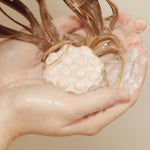Pain de shampooing rafraîchissant Cactus Wondr