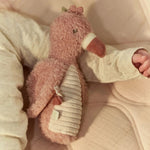 Little Dutch Knijprammelaar Flamingo - Roze