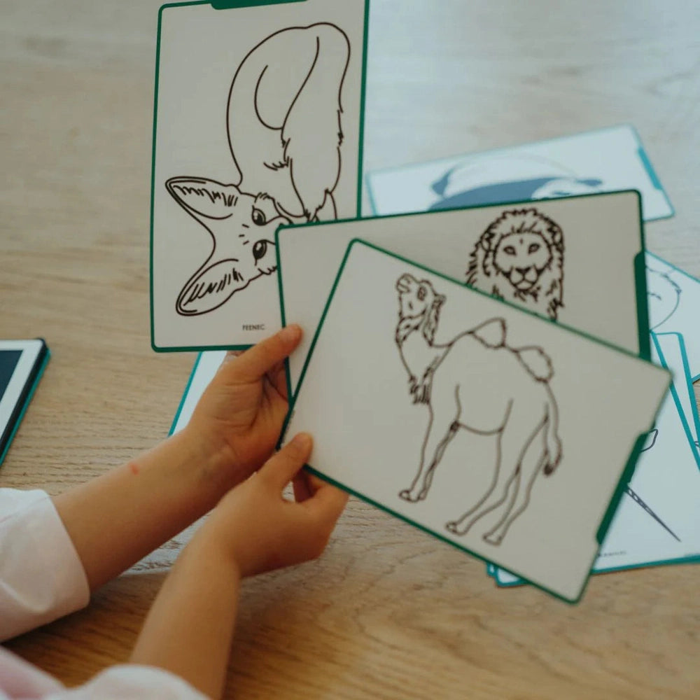 Tablette à dessin Kidywolf Kidydraw Mini - Animaux du monde entier