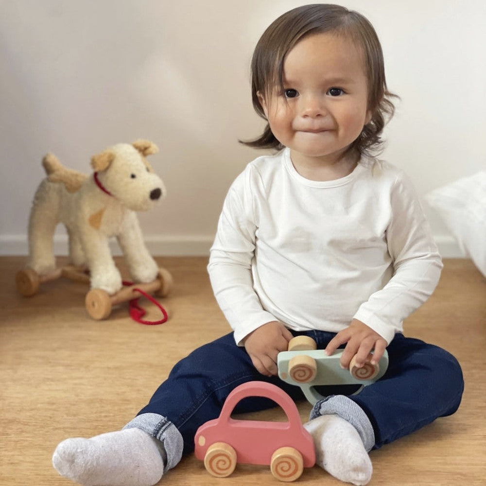 Egmont Toys Petites voitures en bois - 3 couleurs
