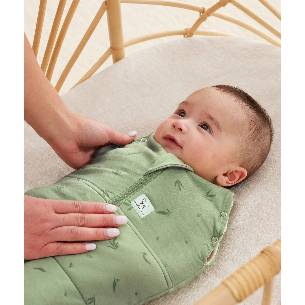 Gigoteuse d'emmaillotage Ergopouch Cocoon Tog 2,5 - Willow