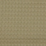 Koeka chancelière 0+3/5 points - Wafel Teddy Oslo Moss