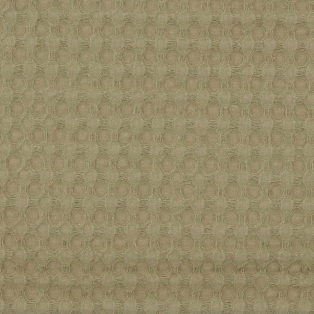 Koeka chancelière 0+3/5 points - Wafel Teddy Oslo Moss