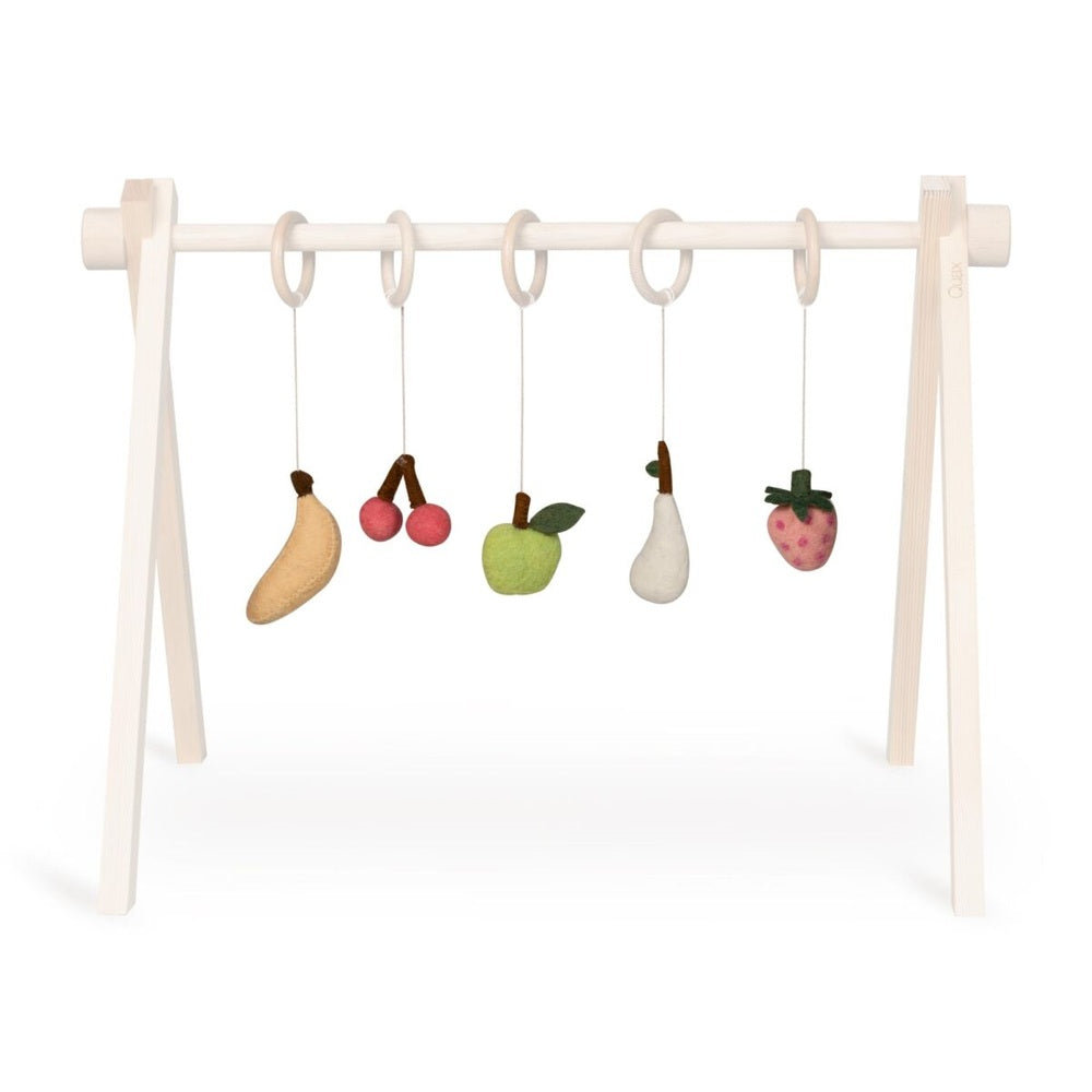 Quax Set d'activités - Fruits 5 pièces