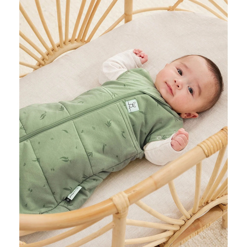 Gigoteuse d’emmaillotage Ergopouch Cocoon Tog 2,5 - Willow