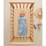 Gigoteuse d’emmaillotage Ergopouch Cocoon Tog 1,0 - Dragonflies