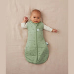Ergopouch Cocoon gigoteuse d’emmaillotage Tog 2,5 - Willow