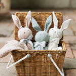 Doudou bébé Blinkie - Bo
