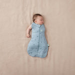 Gigoteuse Ergopouch Cocoon d’emmaillotage - 2,5 TOG Dragonflies