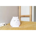 Veilleuse Oscar - Petit hibou