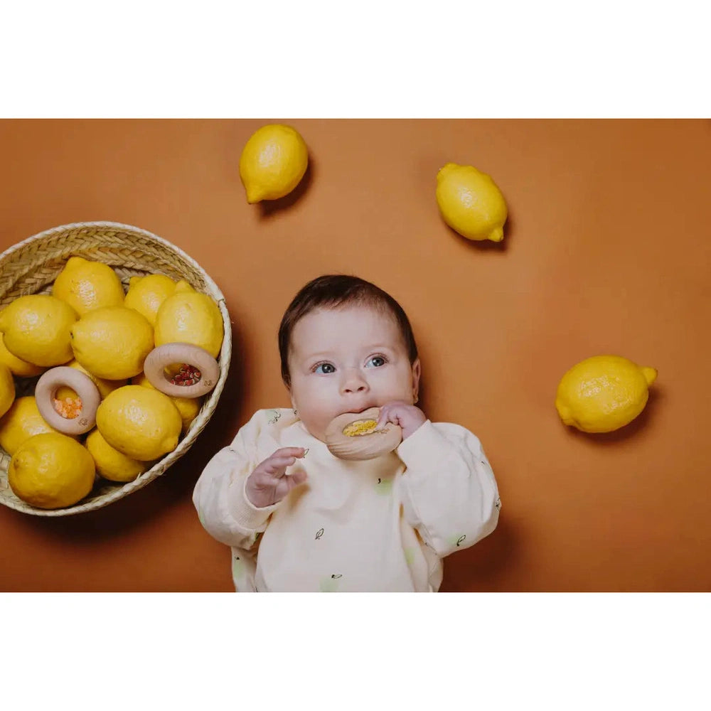 Petit Boum Donut sensoriel pastèque
