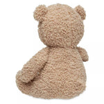 Peluche Teddy Bear biscuit