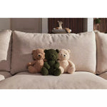 Ours en peluche Teddy Bear biscuit