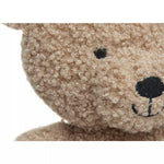 Peluche Teddy Bear biscuit