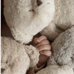 Moonie The Humming Bear bio - Polar Natur