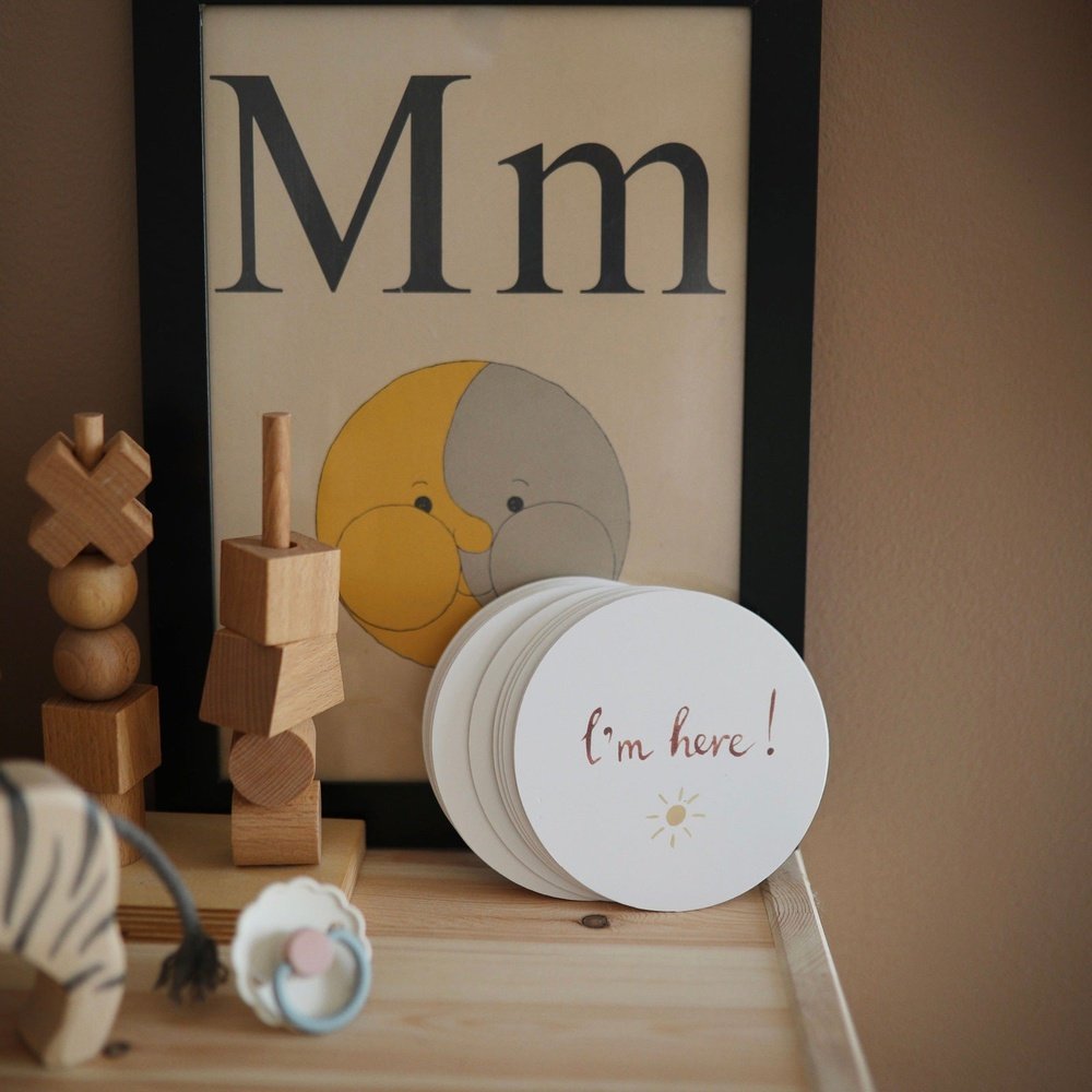 MUSHIE - CARTES ÉTAPES