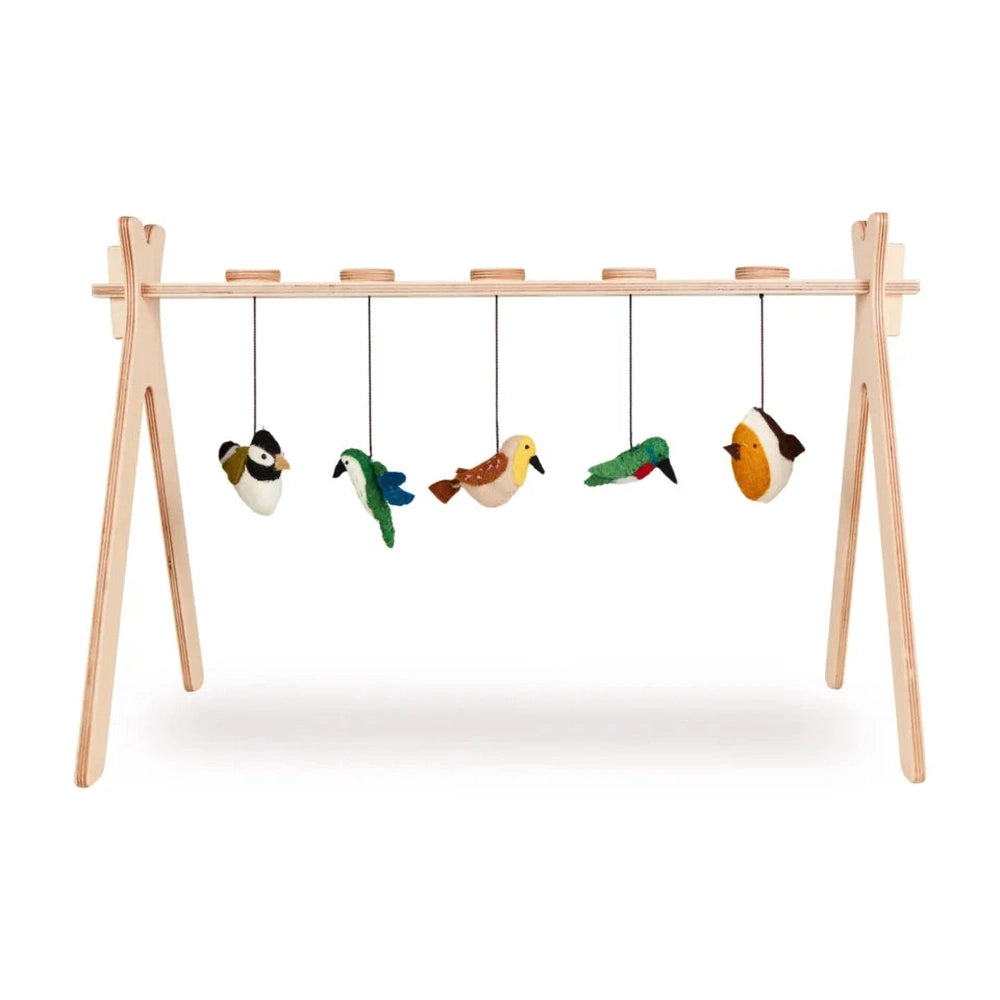 Quax Set d'activités - Oiseaux 5 pièces