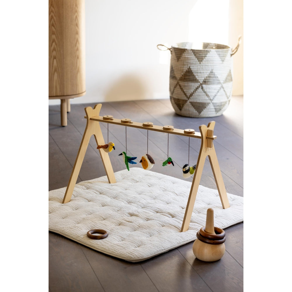 Quax set d’activités - petits oiseaux, 5 pièces
