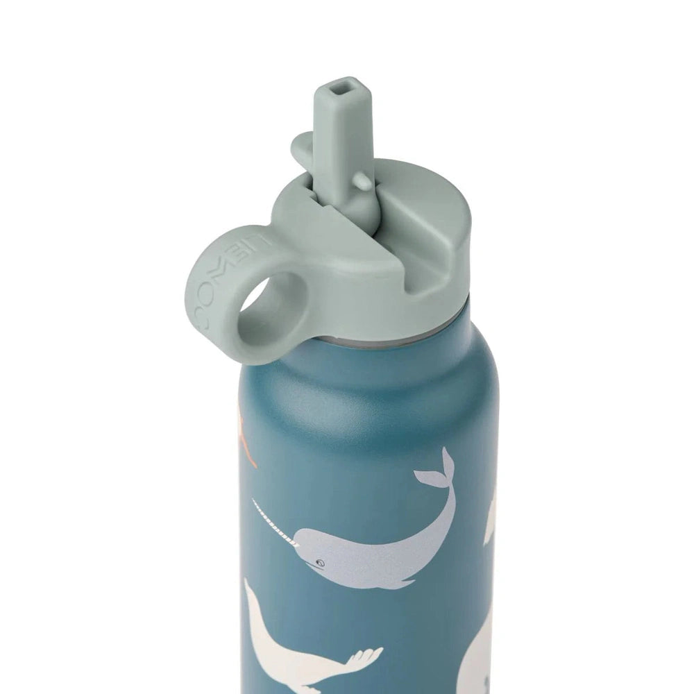 Gourde Liewood 350 ml - Falk - Arctic Sea / Ocean view