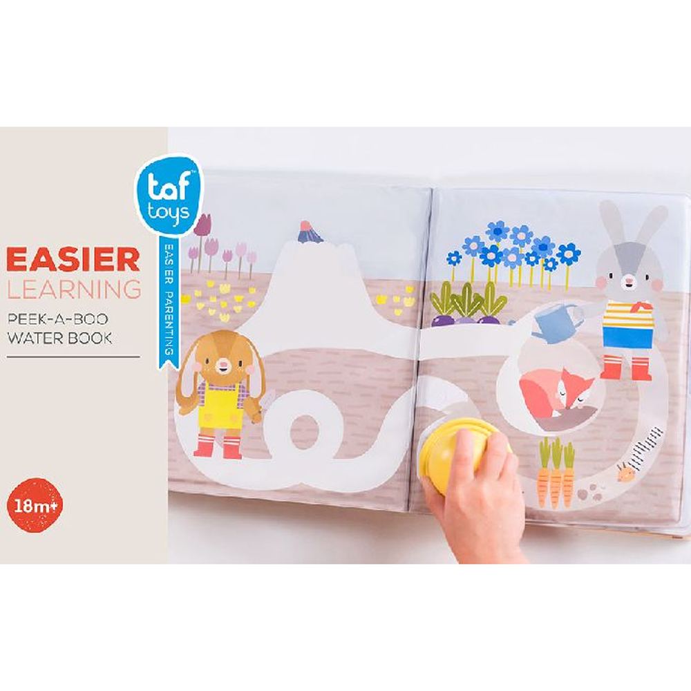 Taf Toys livre d'eau