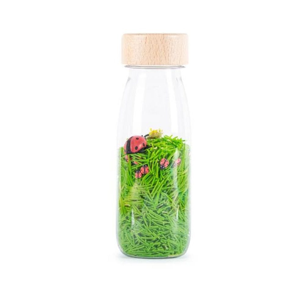 Petit Boum Bouteille Sensorielle Ladybirds