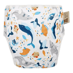 COUCHE DE NATATION - ANIMAUX MARINS