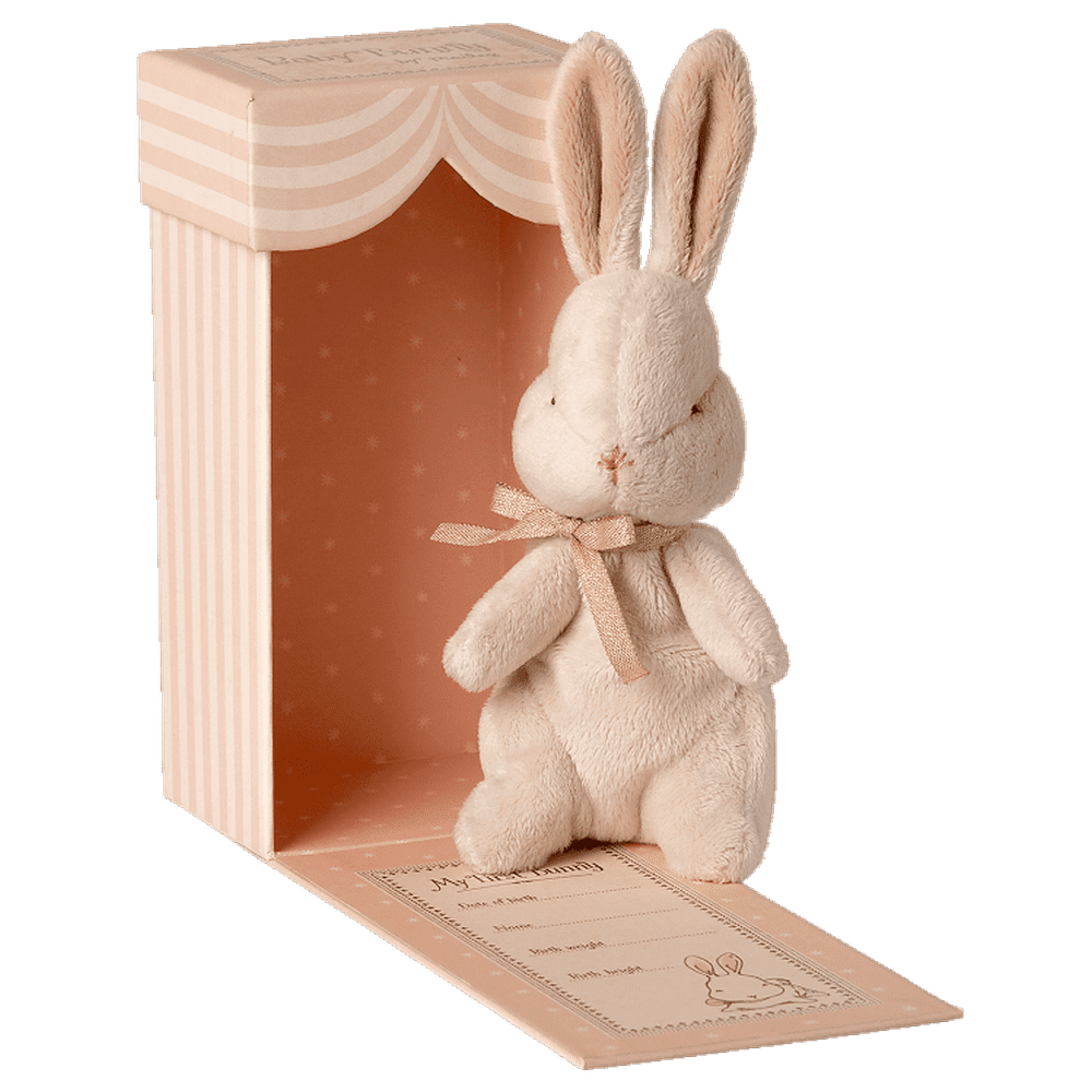 DOUDOU DE NAISSANCE - MY FIRST BUNNY