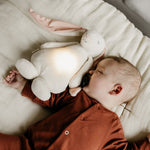 MOONIE LE COMPAGNON BOURDONNANT - POUDRE