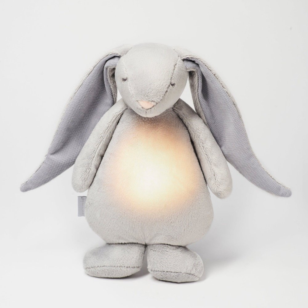 MOONIE LE COMPAGNON BOURDonnant - ARGENT