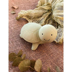 JOUET DE BAIN TORTUE